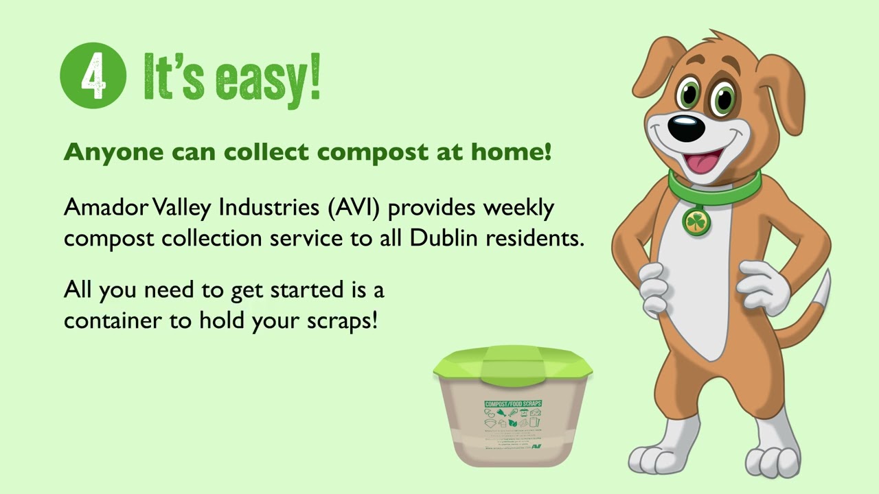 Collecting Compost at Home in Dublin: Everything You Need to Know