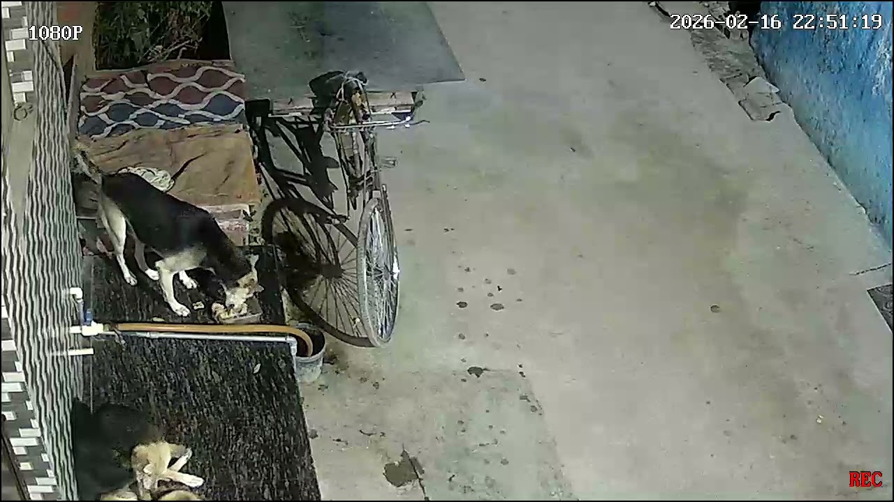 Kaluuuu