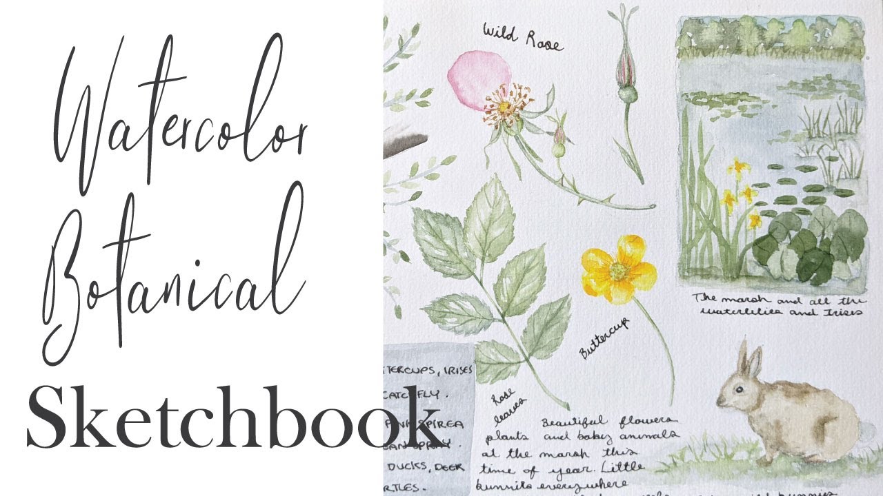 Botanical Watercolor Sketchbook | June at the Marsh