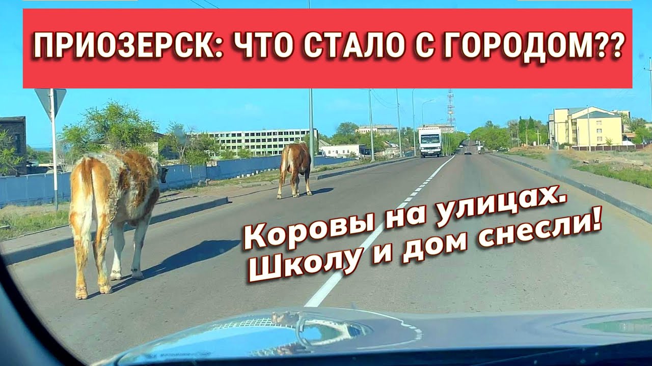 Как выглядит Приозерск сегодня? Неожиданные кадры!