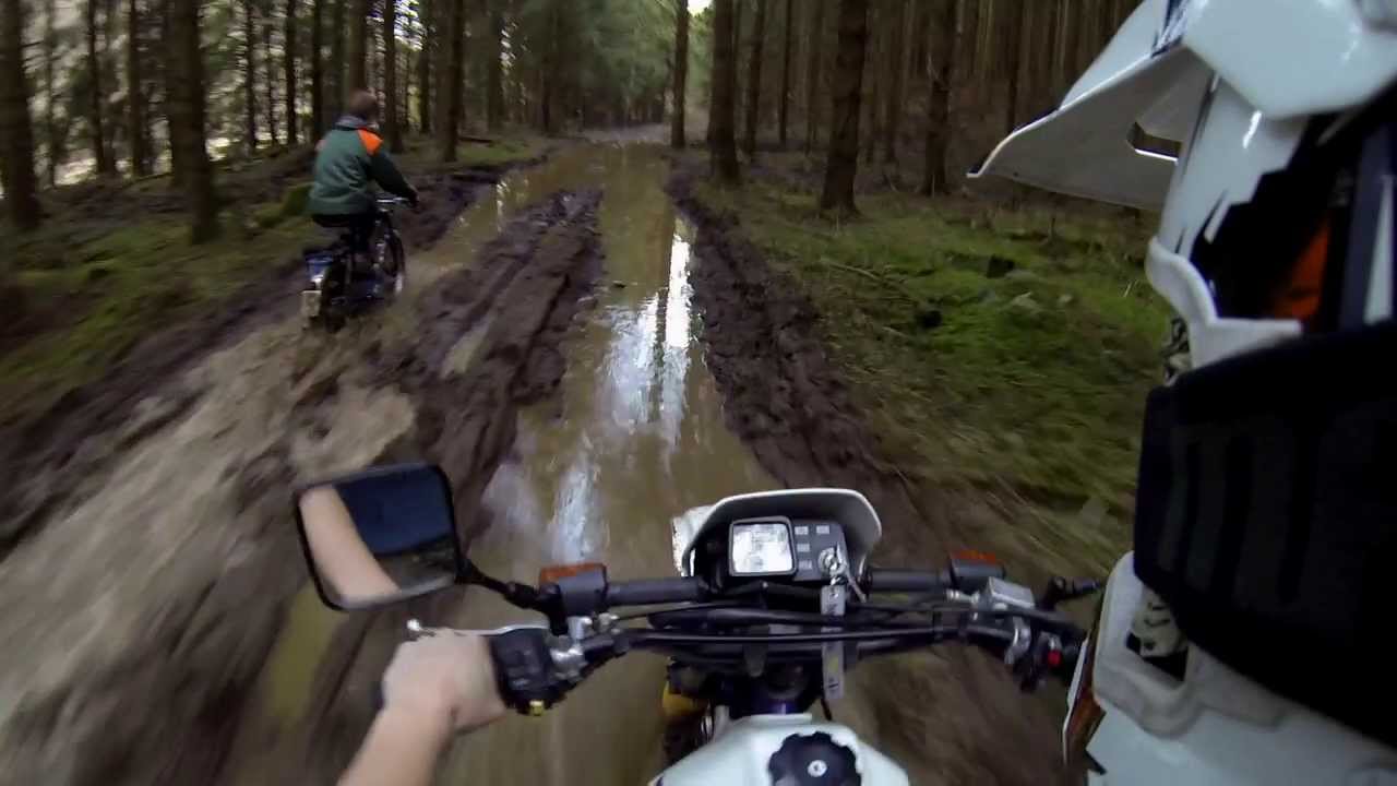 Suzuki DR 125 | Hercules | Kreidler Wald und Wiesen