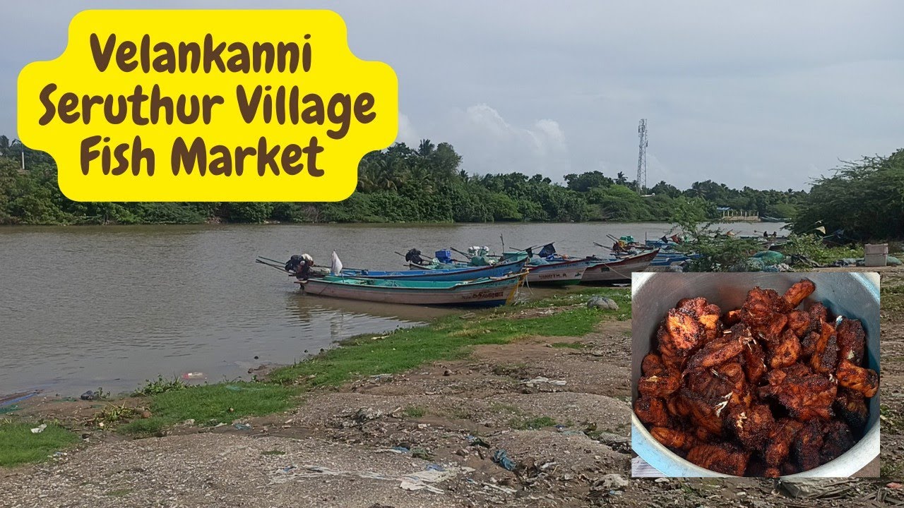 Exploring Velankanni - Seruthur Village Fish Market Near | Fresh And Low In Price |#velankannimadha
