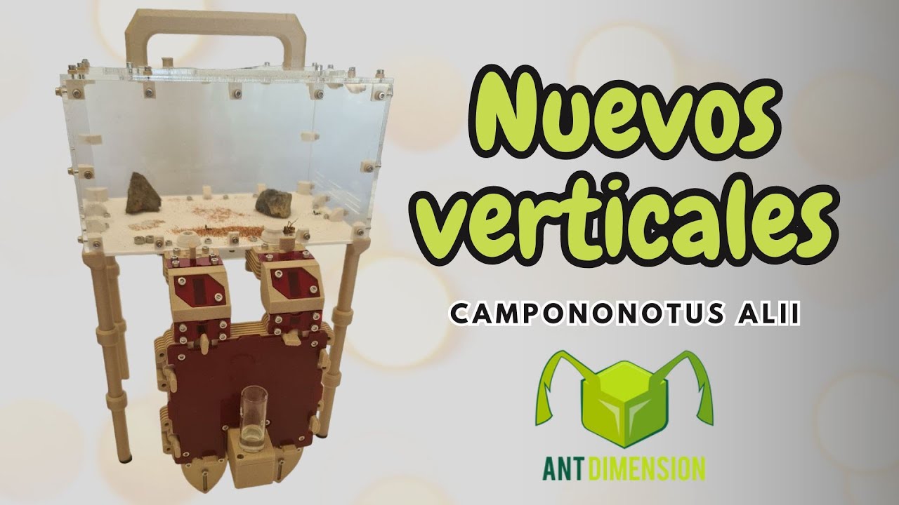 ¡¡HORMIGUEROS VERTICALES DE ANTDIMENSION!!
