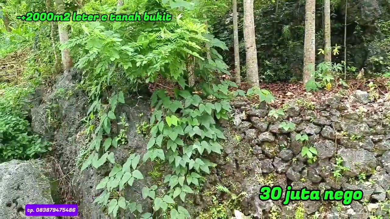 Tanah murah -+2000m2 cukup 30 juta