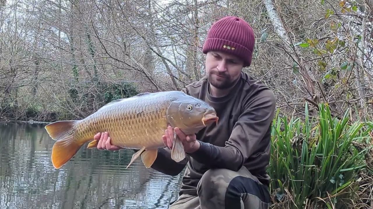Tree Lake winter restocking 1