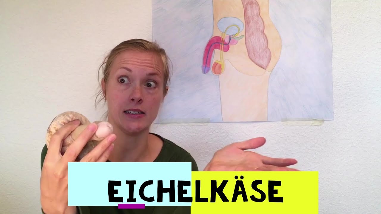 Körper-Basics: Was ist Eichelkäse?