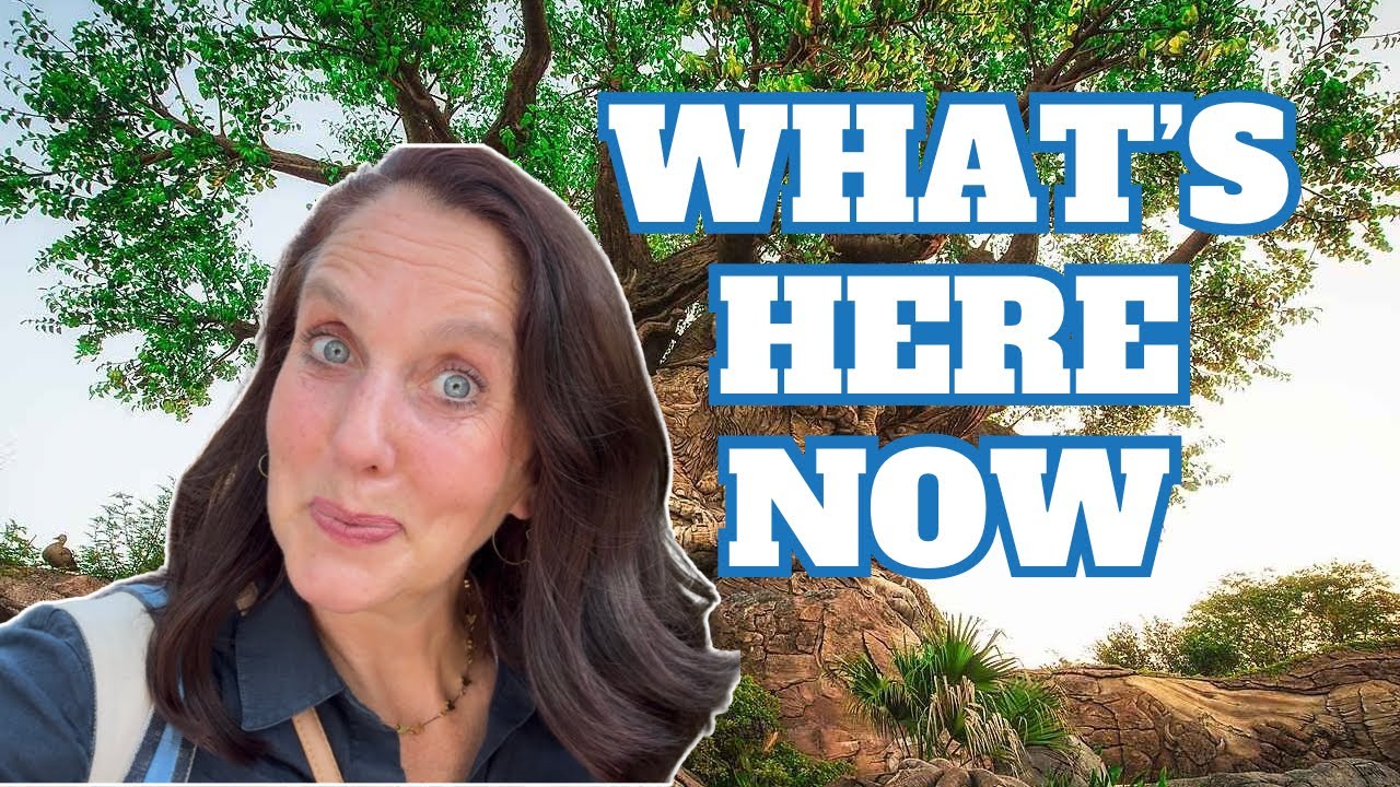 Вход в парк Disney's Animal Kingdom изменился (вот что вы увидите теперь)