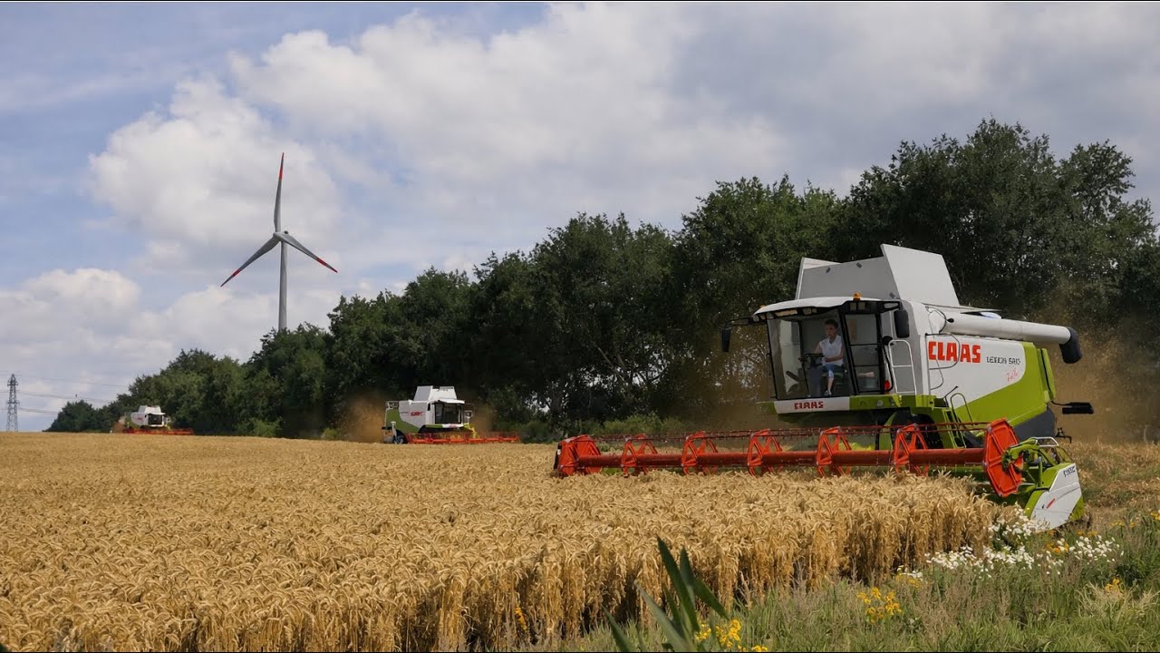 Sommmerzeit ist Erntezeit | Sommer in Kandelin | FS22 | Lexion 580