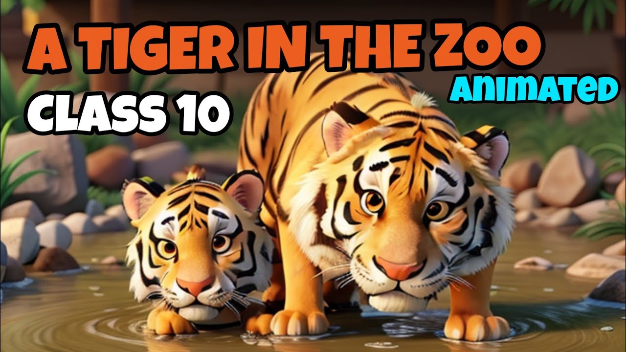 A TIGER IN THE ZOO | CLASS 10 | ENGLISH| ANIMATED