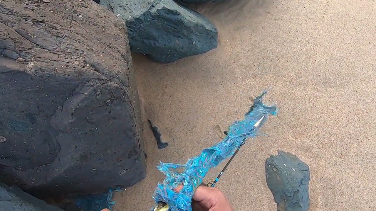 South Pier: New Saltwater Species whilst Shore Jigging
