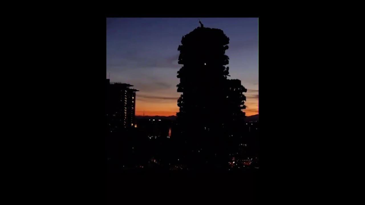 Armani Doc- So Milano