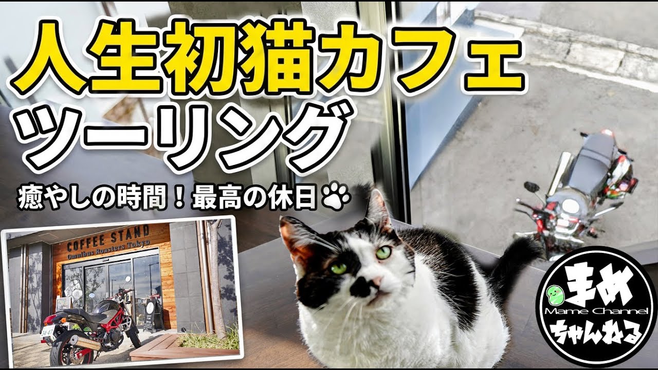 【モトブログ バイク女子】猫に嫌われるまめが初めての猫触れ合い猫じゃらしで何とか乗り切れる？シニア猫専門の人間慣れしたぬっこ様にもてなされるツーリング