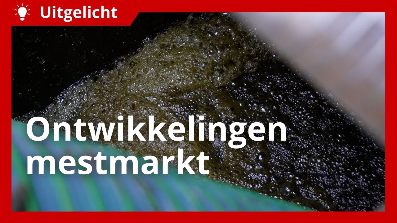 Uitgelicht | De huidige mestmarkt en de toekomst van renure