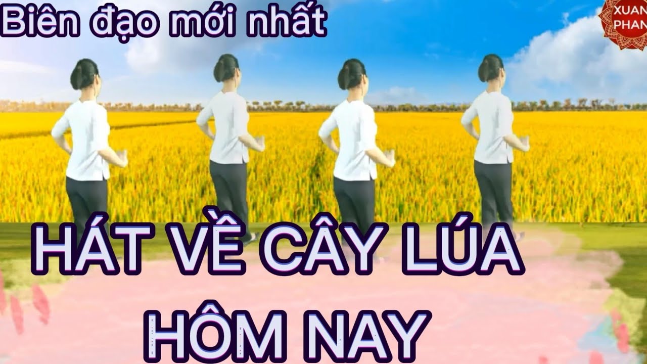 🌺HÁT VỀ CÂY LÚA HÔM NAY🌺 ( BIÊN ĐẠO MỚI NHẤT - CHO 20/10, 8/3).