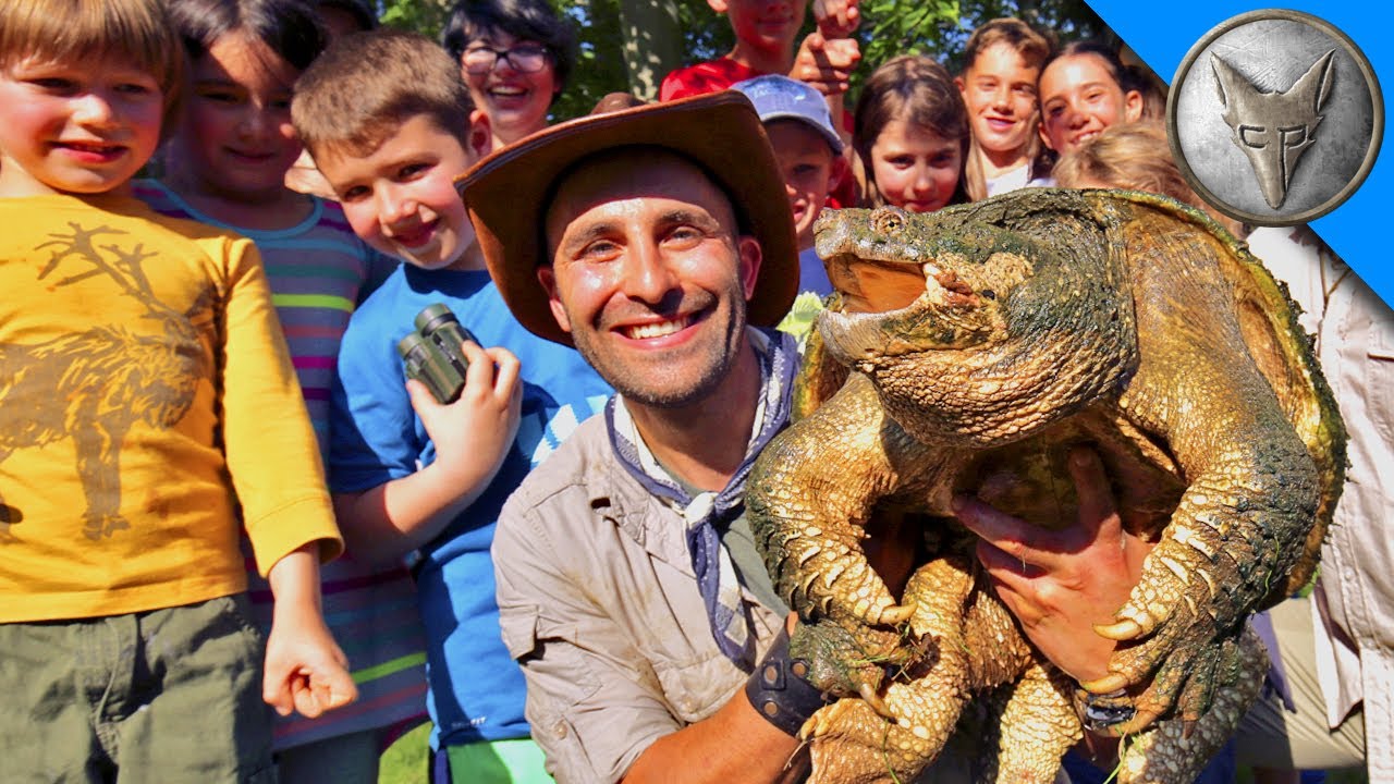 Animal Field Trip!
