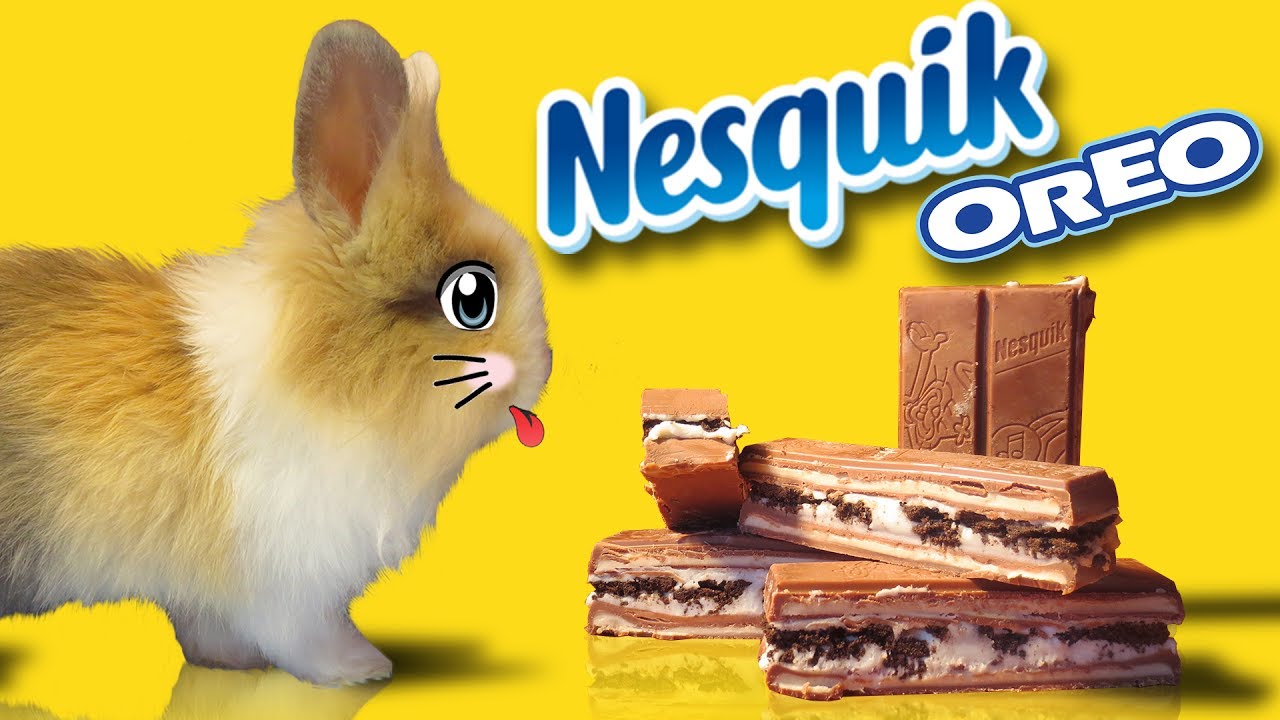 Kr&oacute;lik BUFFY i OREO NESQUIK ! A Lot of Candy dla Buffy ! Zbyt Dużo Słodyczy !