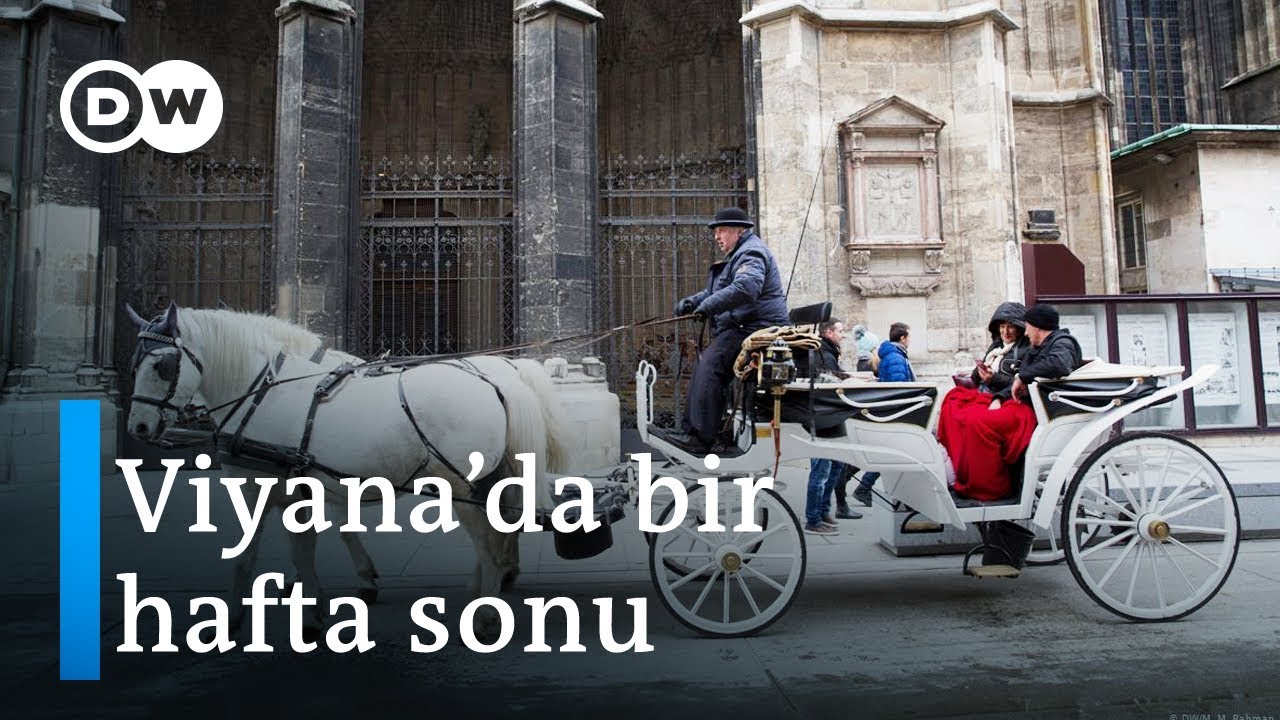 Viyana'da mükemmel bir hafta sonu için öneriler - DW Türkçe