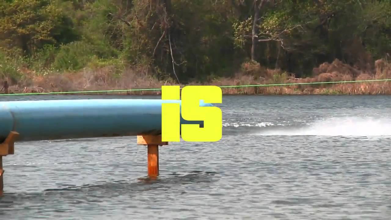 Shredtown - Blue Tubes