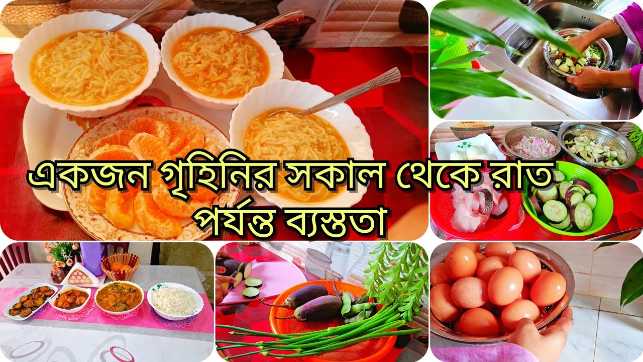 শূন্য থেকে আমার সংসার শুরু, একজন গৃহিণীর শূন্য থেকে সংসার কিভাবে শুরু করলাম 