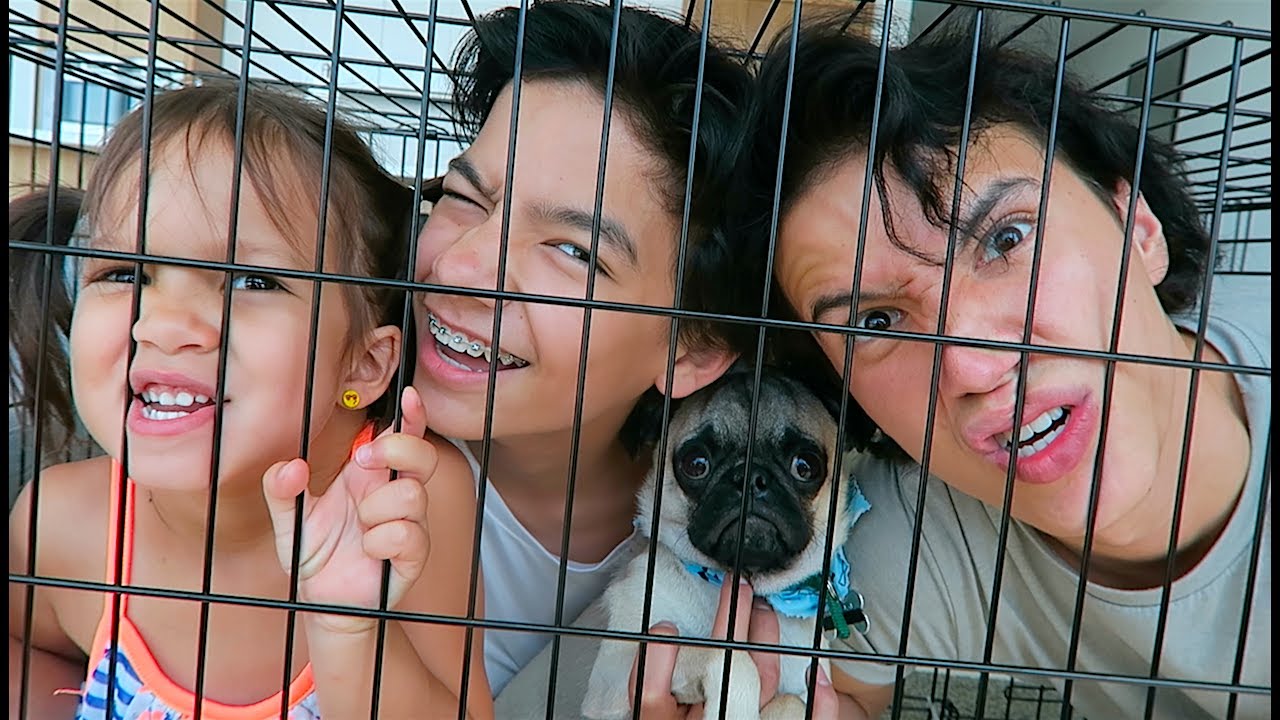 FAMILY DOG CRATE CHALLENGE!!