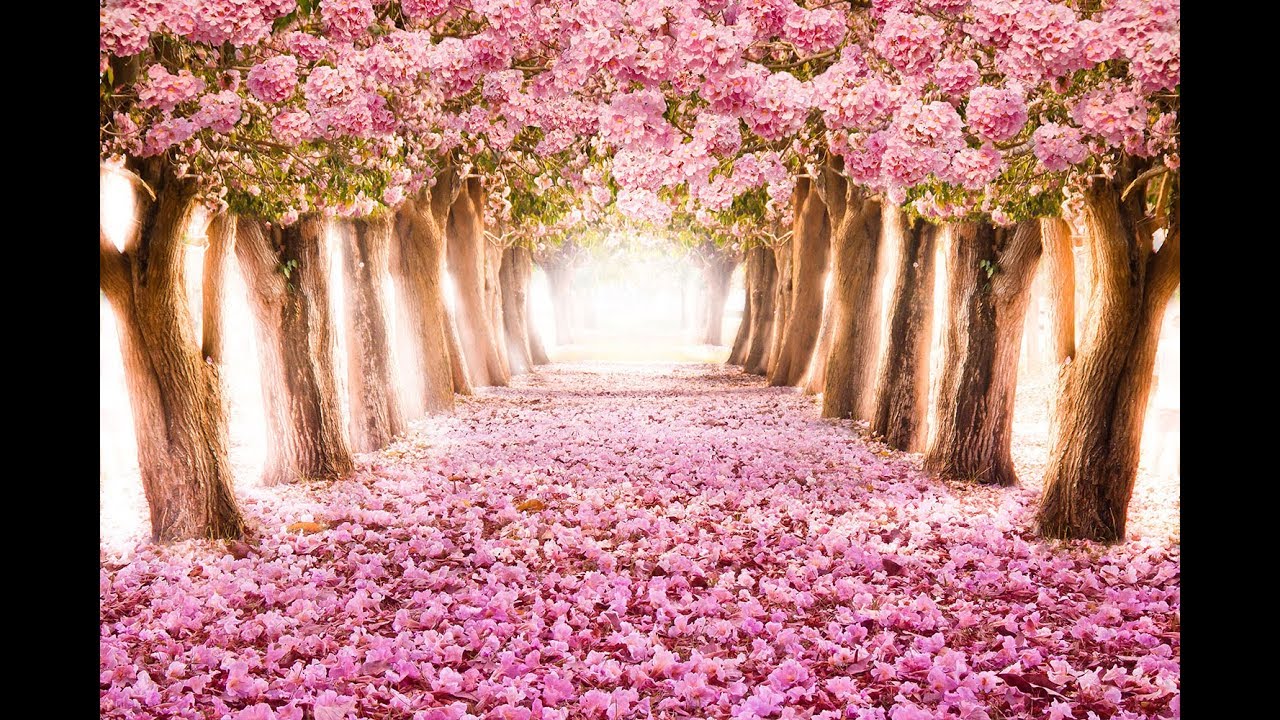 Libra Love May 15-31/19 Moves Quickly To Commitment