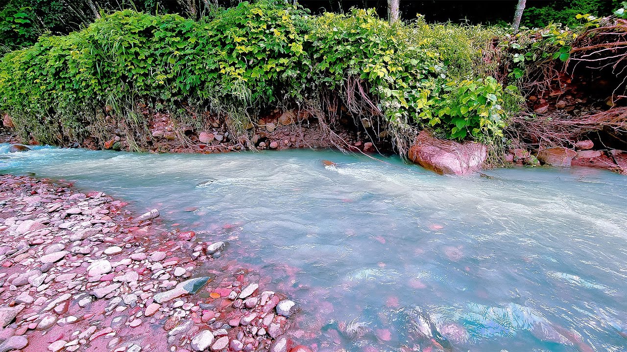 Calming stream sound, Relaxing river flow for insomnia therapy and self healing, Forest river sound