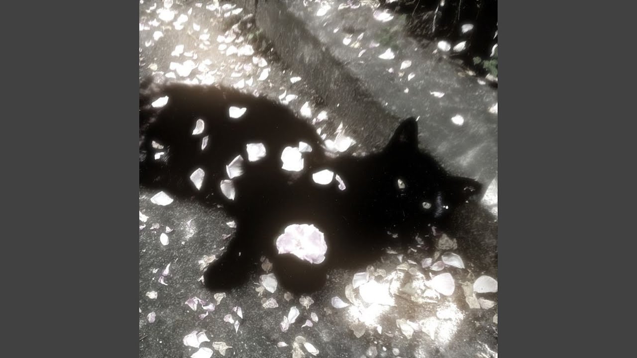 bounce out with that x blind spots