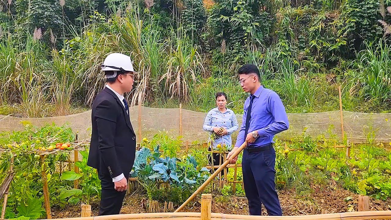 The poor girl received the affection of both the CEO and the prosecutor.