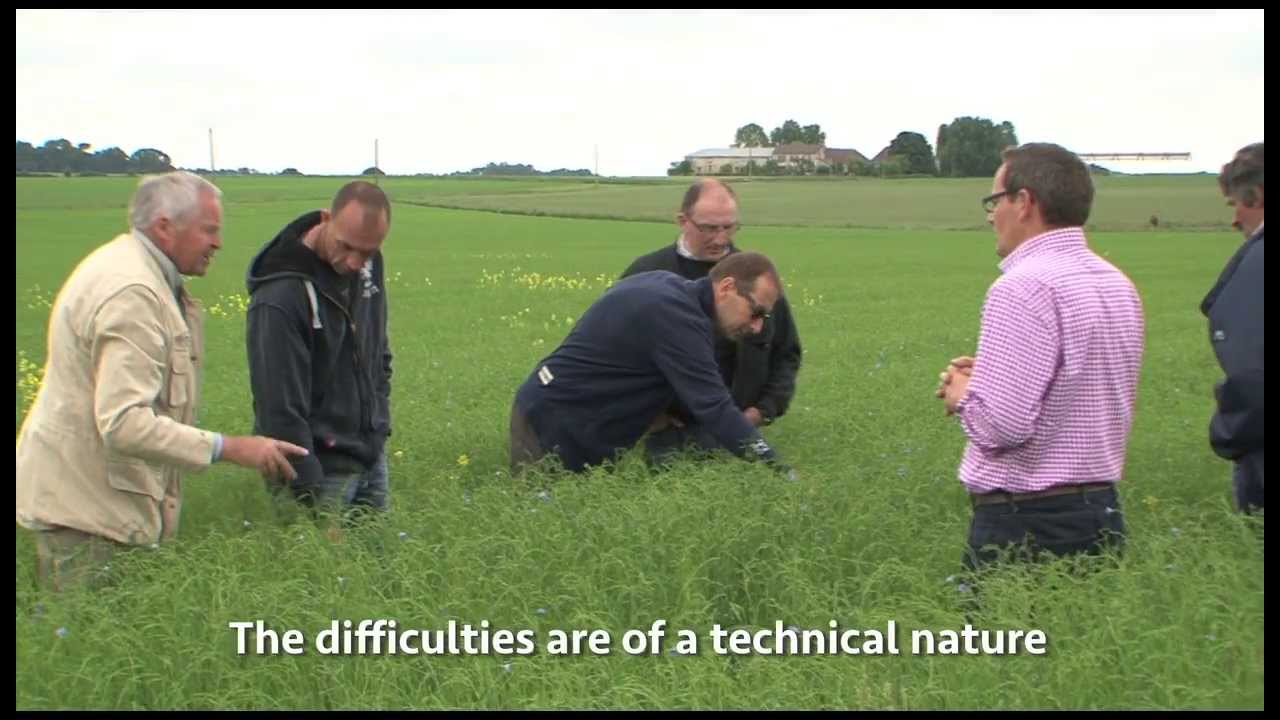 Origins of the Organic Linen Collection