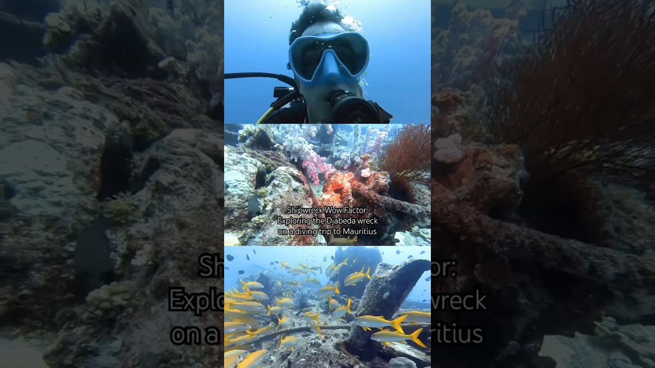 Scuba Diving a Shipwreck in Mauritius 🤿⚓️⛴️ 