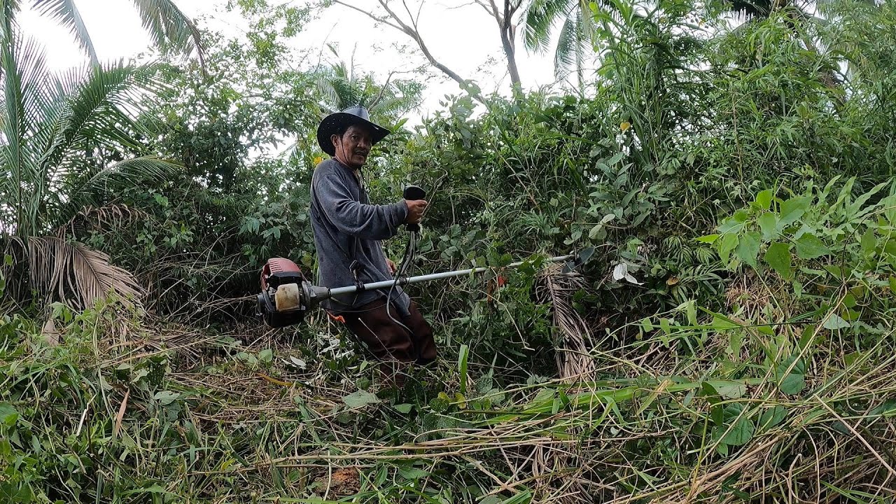 Paglilinis sa madamong bundok napabilis dahil sa grass cutter