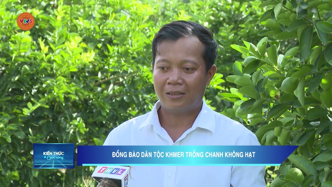 ĐỒNG BÀO DÂN TỘC KHMER TRỒNG CHANH KHÔNG HẠT | VTV5
