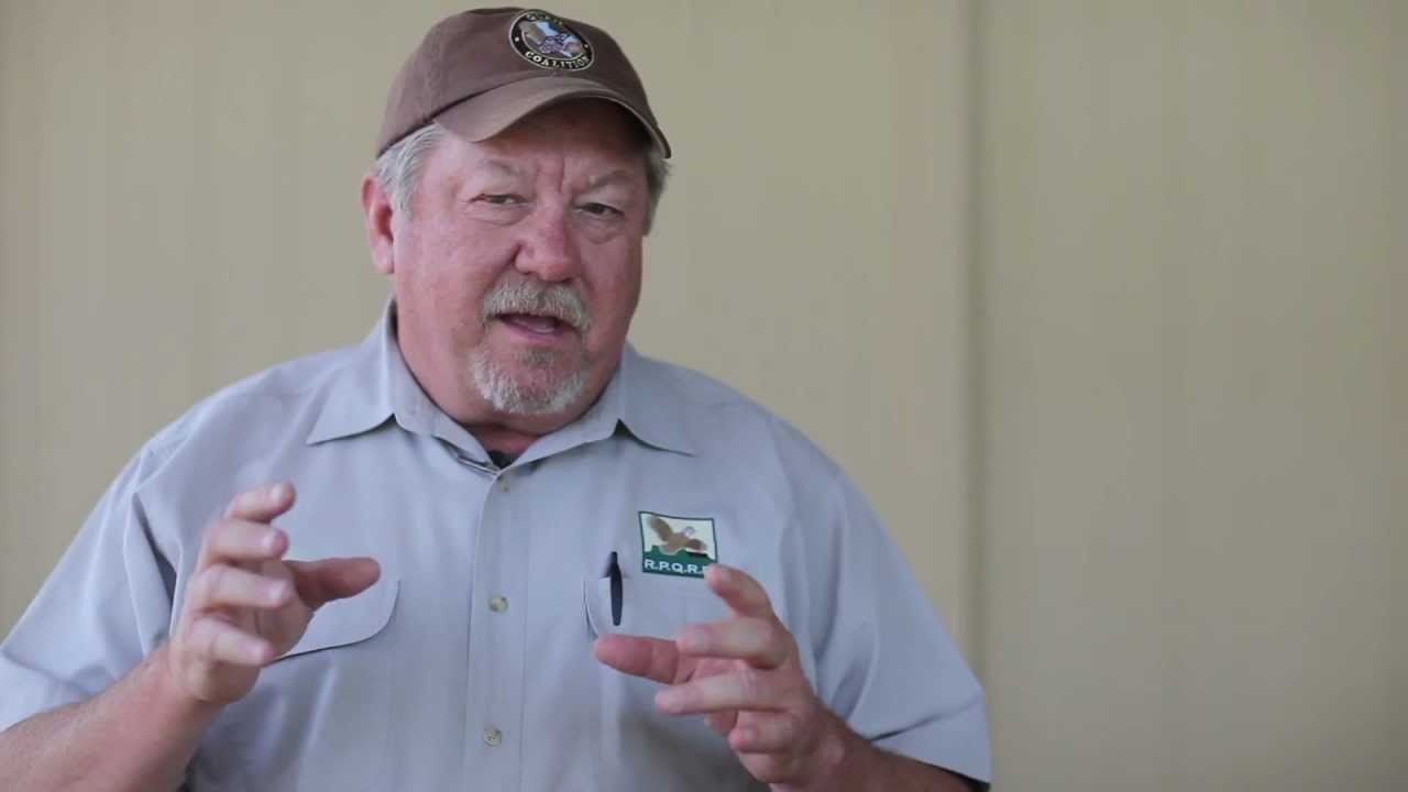 RPQRR's Quail Research:  How You Can Help