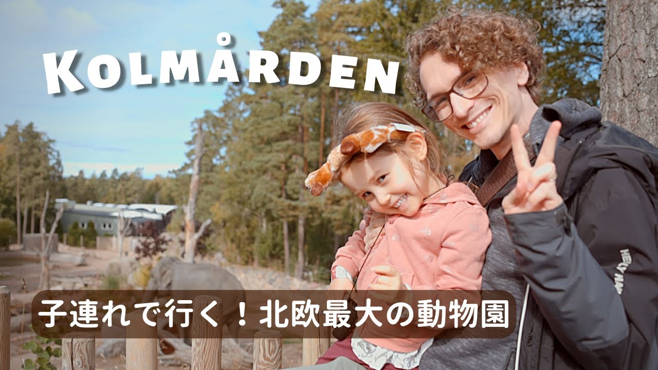 北欧最大！森の中の動物園＆遊園地コールモーデンに行って来ました🌿可愛いバムセワールド｜サファリ｜子連れ家族旅行🇸🇪