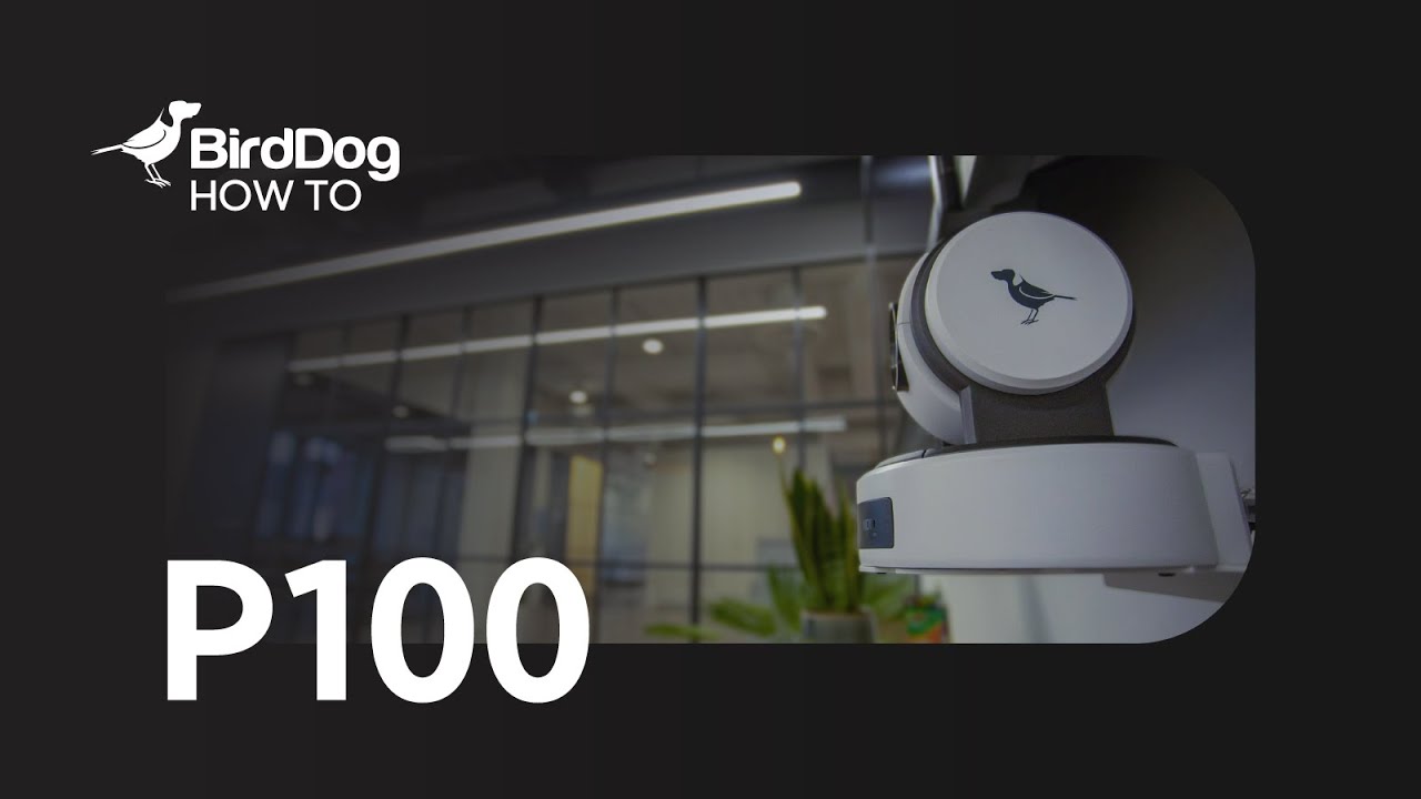 P100 How To - Advanced Colour Tools