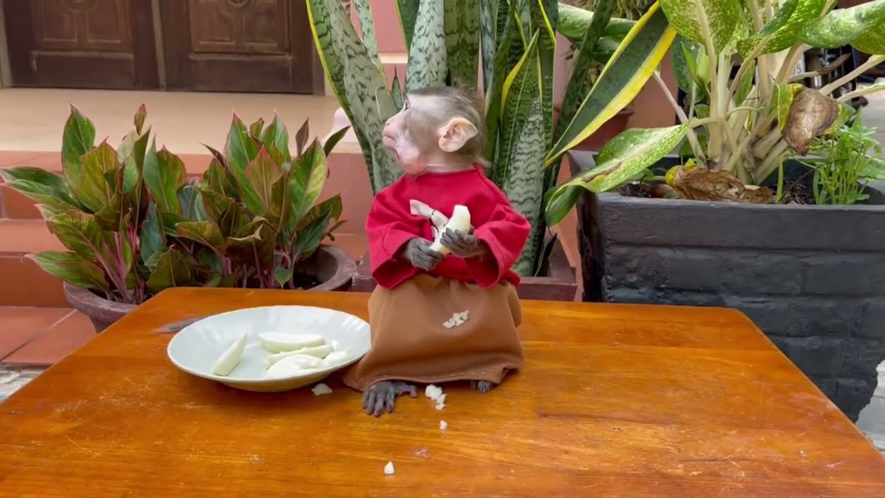 Oh no..!! koy eating with feel wo0rrii at the sky