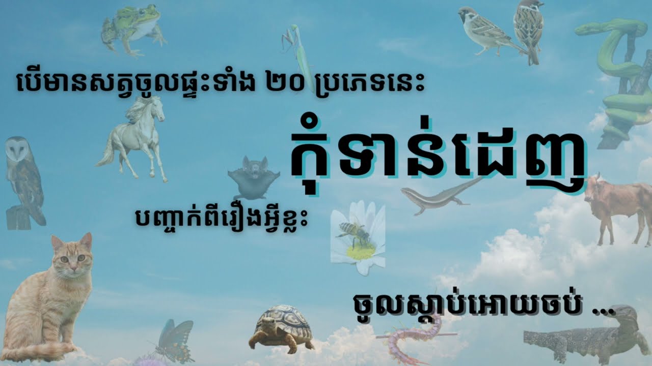 មកស្គាល់សត្វទាំង20ប្រភេទចូលផ្ទះ នាំលាភ រឺ នាំស៊យ /fengshui animal #fengshui2024