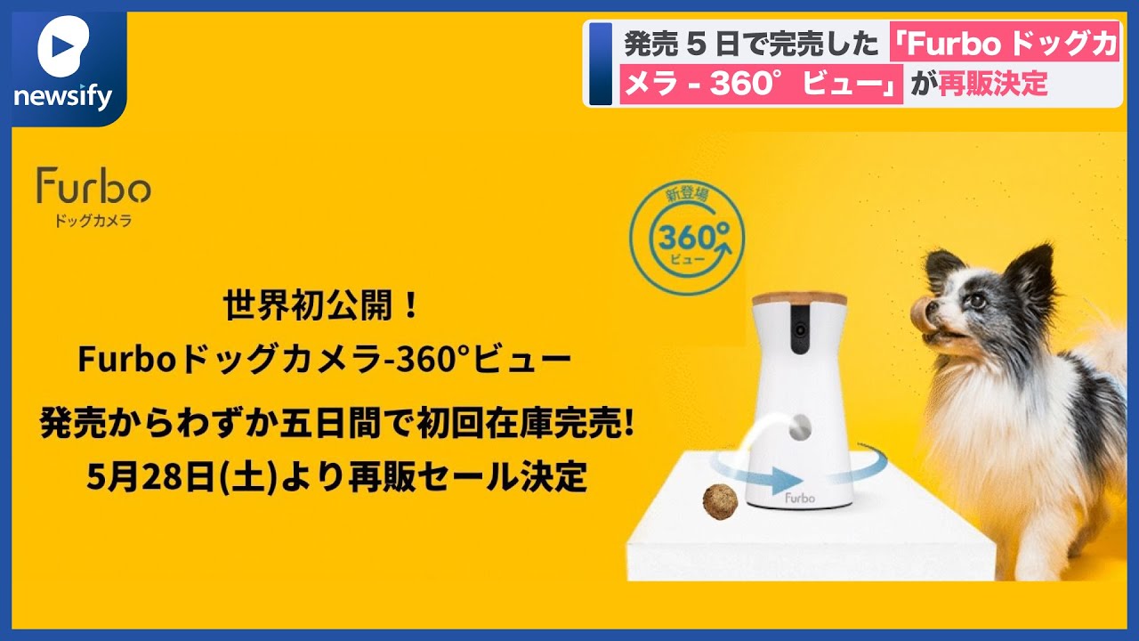 発売5日で完売した「Furboドッグカメラ 360&deg;ビュー」が再販決定(2022年5月26日)