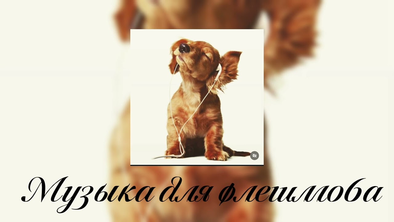 Музыка для флешмоба || музыка из тт💫