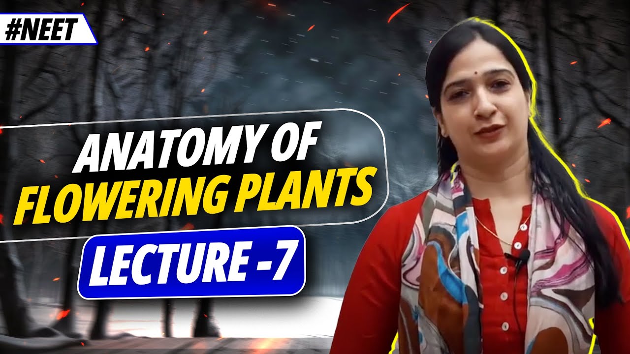 #7   Internal Structure of Dicot and Monocot Leaf l Differences l Anatomy of Plants l NEETl Class 11