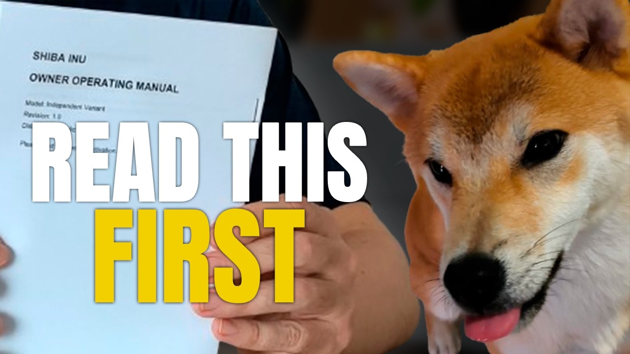 If Shiba Inus Had an Owner Guide