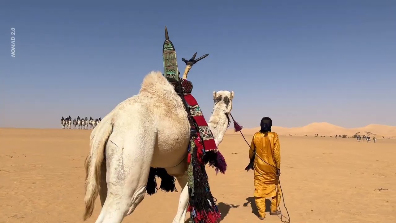 Ténéré Saharan guitar from Niger