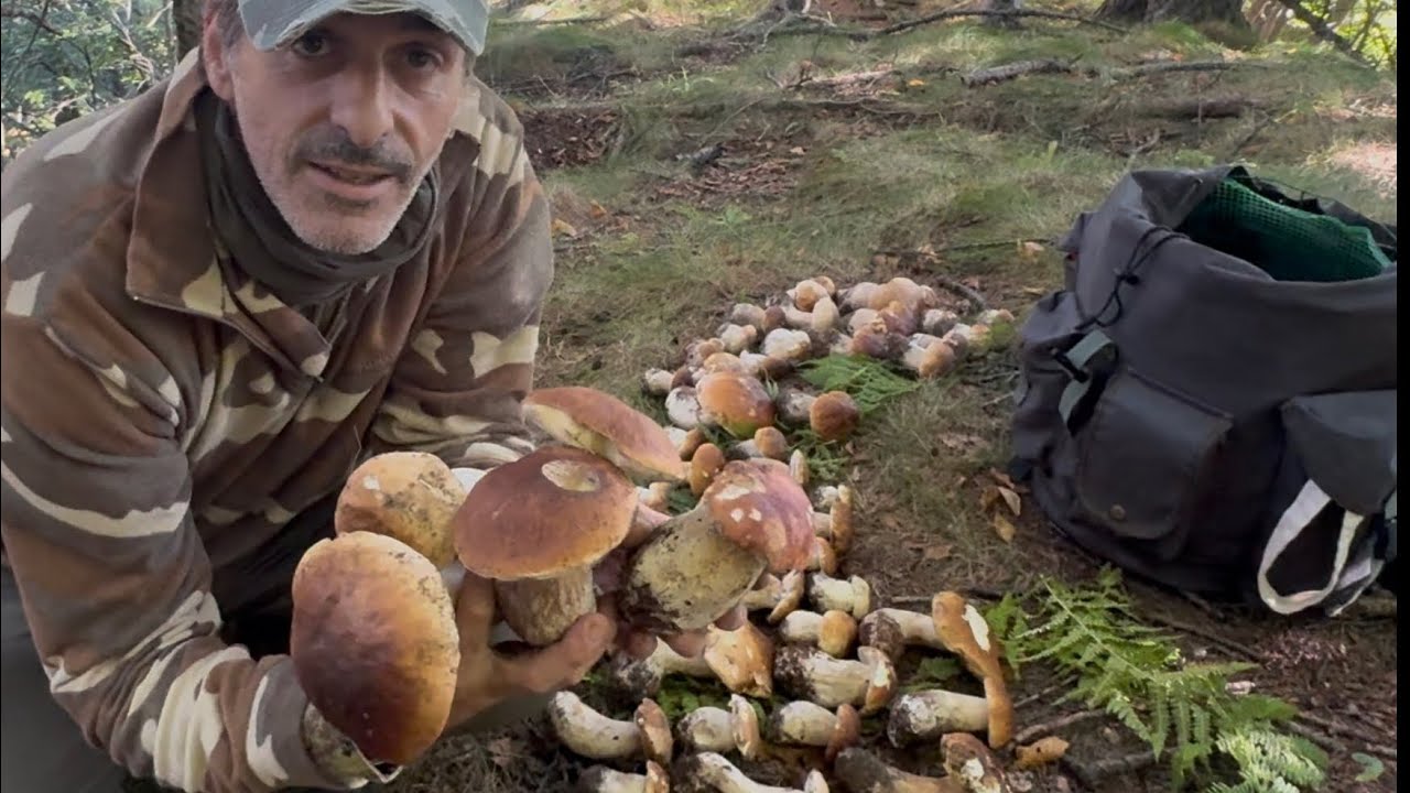 TROPPA GRAZIA-FUNGHI PORCINI 2025