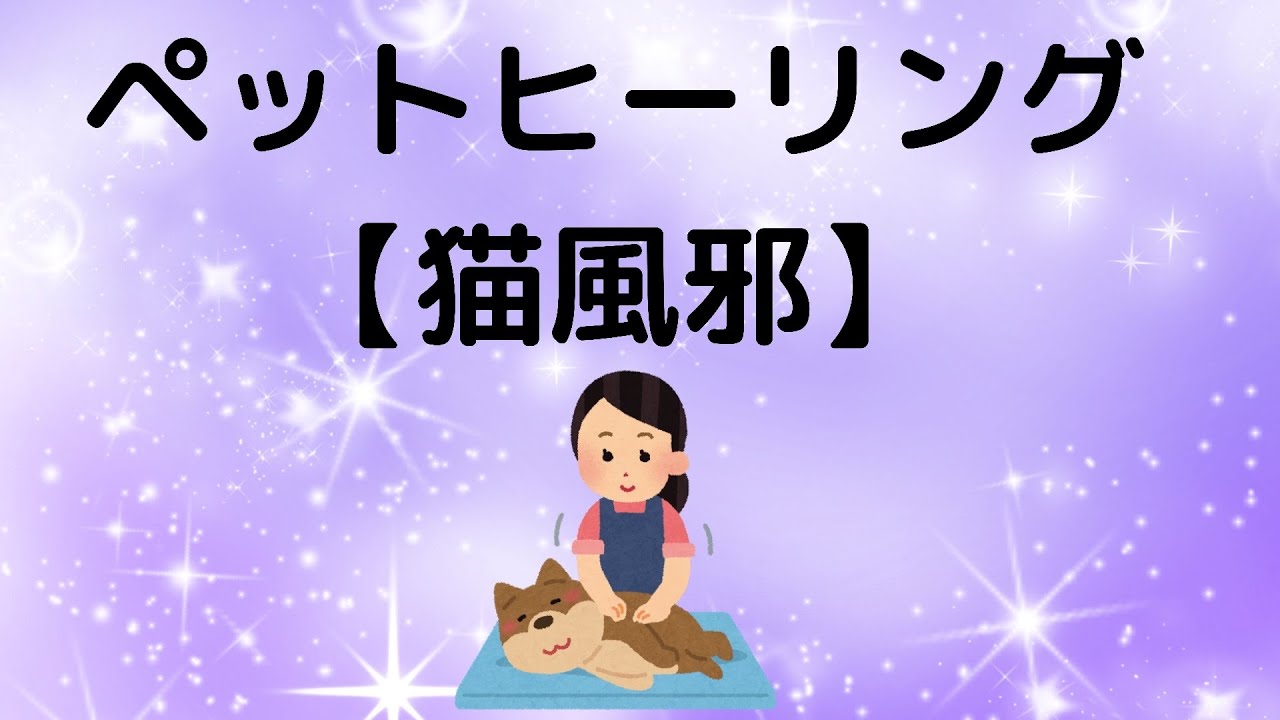 【猫風邪】ペットヒーリング