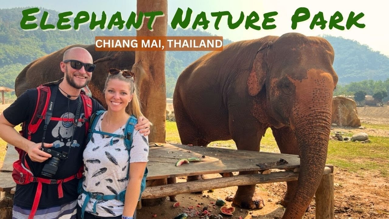 Ethical Elephant Tourism in Chiang Mai, Thailand (+ Thai Cooking Class)