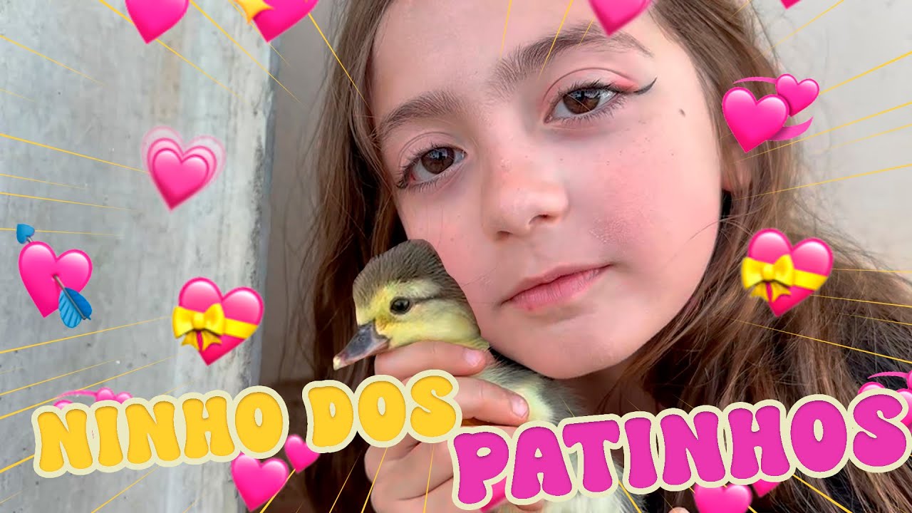 O NASCIMENTO DOS BEBÊS PATOS