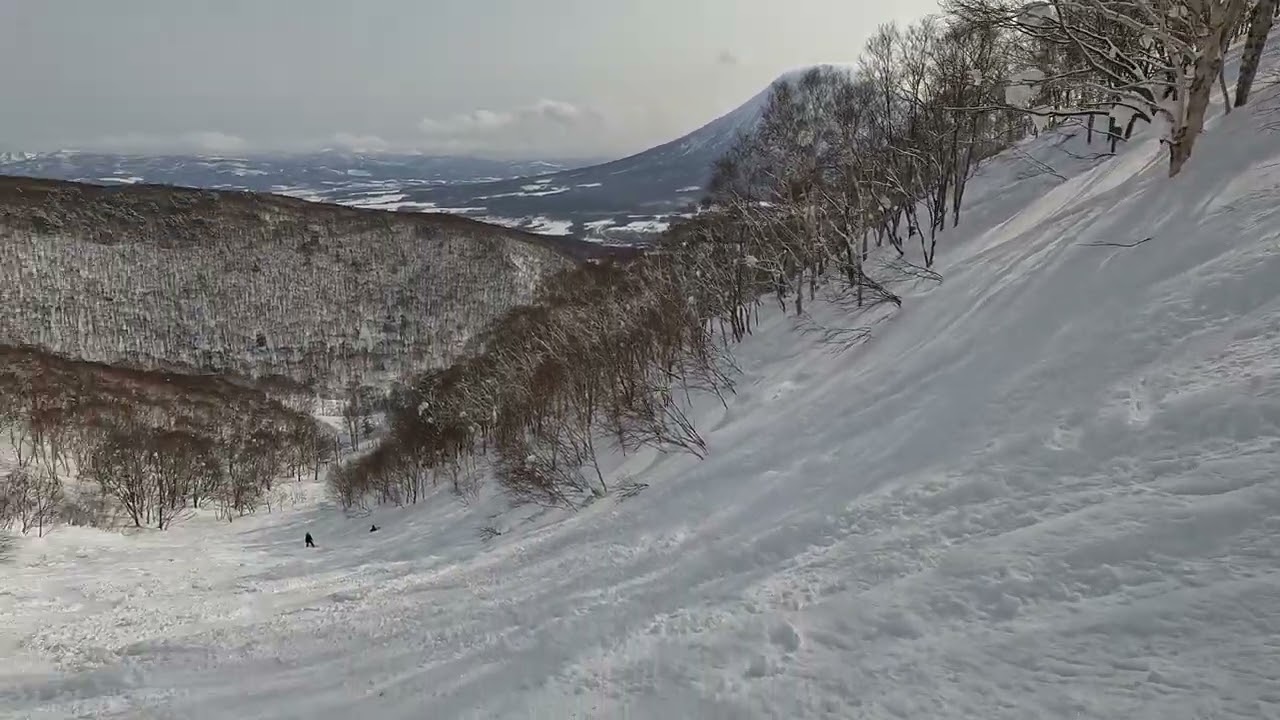 20220219 NISEKO GRAND HIRAFU TREE RUN TO MIHARASHI COURSE