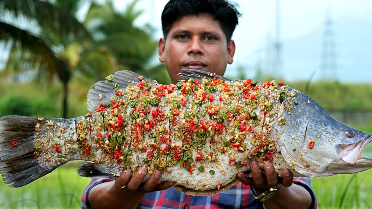 6.5Kg KALANCHI FISH FRY | കാളാഞ്ചി മീൻ മുളകിട്ട് ചുട്ടത് | Yummy Fish Fry With chillies