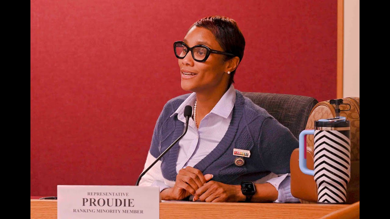 Democrat Raychel Proudie RIPS unprepared sponsor of Missouri's 'Pregnancy Database' bill