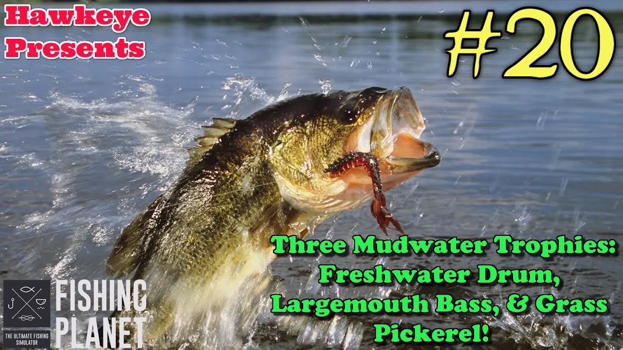 Fishing Planet #20 - S8 - 3 Mudwater Trophies: Freshwater Drum, Largemouth Bass, & Grass Pickerel!